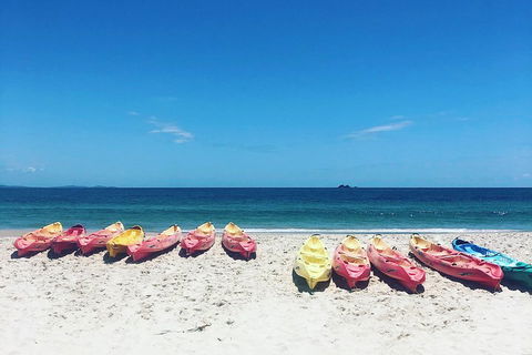 Kayaking With Dolphins In Byron Bay Guided Tour - Tourism Noosa 1