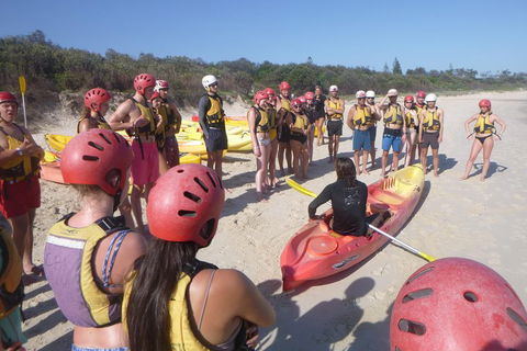 Kayaking With Dolphins In Byron Bay Guided Tour - Tourism Noosa 2