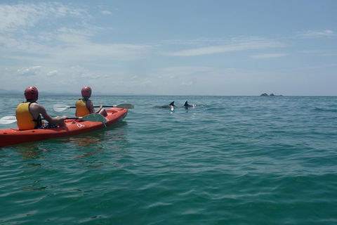 Kayaking With Dolphins In Byron Bay Guided Tour - Tourism Noosa 4