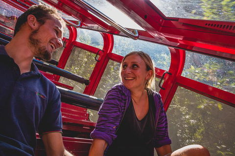 Blue Mountains Hop-on Hop-off Tour With Optional Scenic World Rides - Tourism Noosa 5