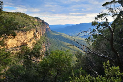 Blue Mountains Day Tour With Wildlife At Sunset From Sydney - Tourism Noosa 5