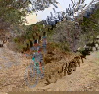 Mount Lofty Descent Bike Tour from Adelaide - Tourism Noosa