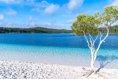 Lake McKenzie Full-Day Tour With Lunch From Hervey Bay - Tourism Noosa 1