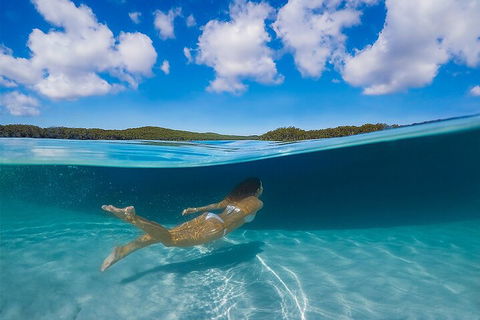 Lake McKenzie Full-Day Tour With Lunch From Hervey Bay - Tourism Noosa 5