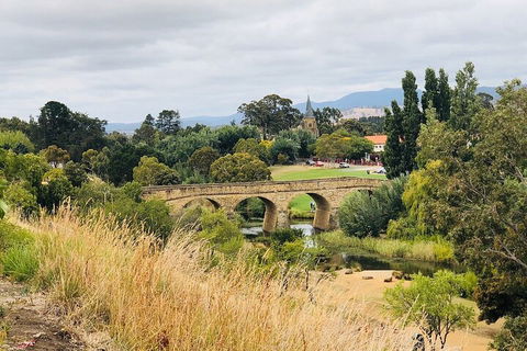 Day Tour In Mt. Field, Mt. Wellington, Bonorong Wildlife Sanctuary And Richmond - Tourism Noosa 3