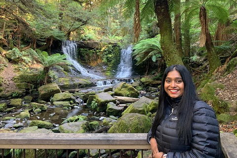 Day Tour In Mt. Field, Mt. Wellington, Bonorong Wildlife Sanctuary And Richmond - Tourism Noosa 5