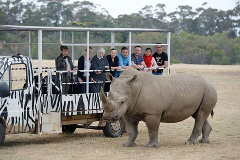 Off-Road Safari At Werribee Open Range Zoo - Tourism Noosa 0