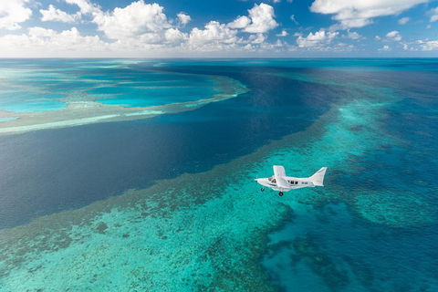 Scenic Flight - Great Barrier Reef, Heart Reef, Whitehaven Beach & Hill Inlet! - Tourism Noosa 3
