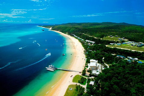 Tangalooma Island Resort Whale Watching Day Cruise - Tourism Noosa 2