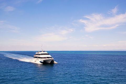 Tangalooma Island Resort Whale Watching Day Cruise - Tourism Noosa 5