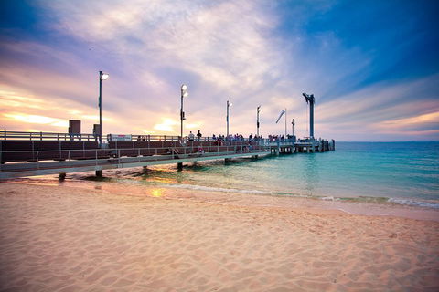 Tangalooma Island Resort Whale Watching Day Cruise With Dolphin Viewing - Tourism Noosa 3