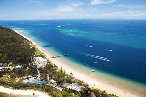Tangalooma Island Resort Whale Watching Day Cruise With Dolphin Feeding - Tourism Noosa 2