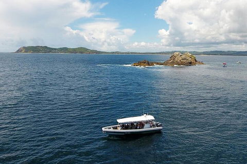 Julian Rocks Byron Bay Cruise - Tourism Noosa 5
