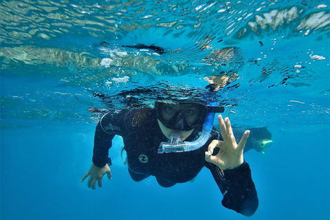 3 Day Whitsundays Sailing And Diving Adventure: Kiana - Tourism Noosa 0