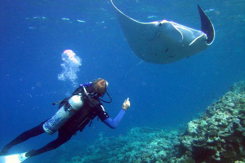 3 Day Whitsundays Sailing And Diving Adventure: Kiana - Tourism Noosa 3