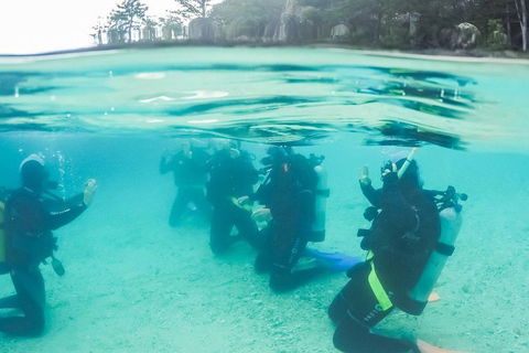 3 Day Whitsundays Sailing And Diving Adventure: Kiana - Tourism Noosa 4