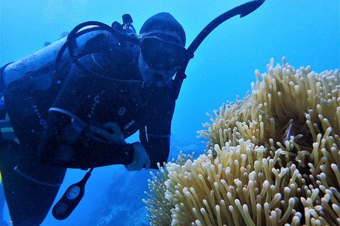 3 Day Whitsundays Sailing And Diving Adventure: Kiana - Tourism Noosa 5