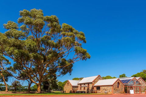 McLaren Vale And Glenelg Wine Tasting And Sightseeing (Half-day Afternoon) - Tourism Noosa 5