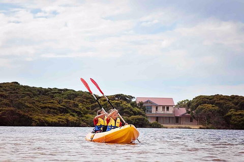 Kangaroo Island Self-Guided Kayaking On The Harriet River - Tourism Noosa 5