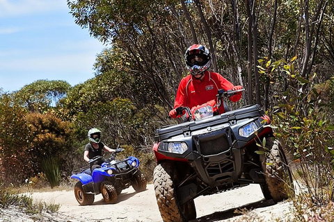 Kangaroo Island Quad Bike (ATV) Tours - Tourism Noosa 5