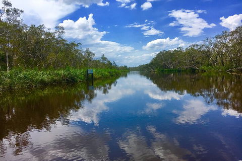 Noosa Everglades Serenity Cruise & Highlights Tour Inc. Lunch & Cruise - Tourism Noosa 0