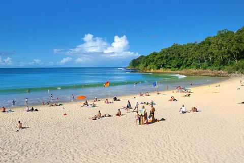 Noosa Everglades Serenity Cruise & Highlights Tour Inc. Lunch & Cruise - Tourism Noosa 4