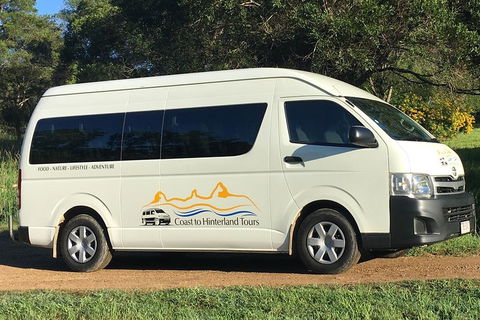 Noosa Everglades Serenity Cruise & Highlights Tour Inc. Lunch & Cruise - Tourism Noosa 5