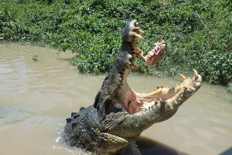 Litchfield And Jumping Crocodiles Full Day Trip From Darwin - Tourism Noosa 3