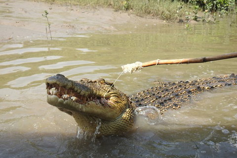 Litchfield And Jumping Crocodiles Full Day Trip From Darwin - Tourism Noosa 4