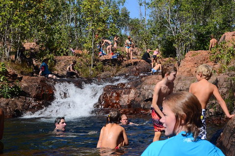 Litchfield And Jumping Crocodiles Full Day Trip From Darwin - Tourism Noosa 5