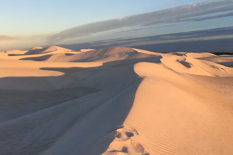 Pinnacles Desert Private Tour - Tourism Noosa 1