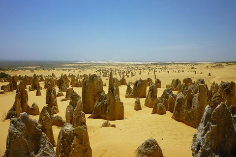 Pinnacles Desert Private Tour - Tourism Noosa 2