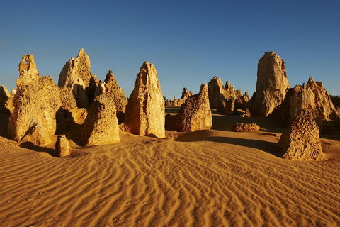 Pinnacles Desert Private Tour - Tourism Noosa 4