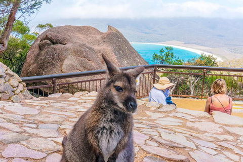 Wineglass Bay & Freycinet NP Full Day Tour From Hobart Via Richmond Village - Tourism Noosa 0