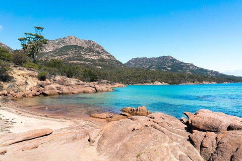 Wineglass Bay & Freycinet NP Full Day Tour From Hobart Via Richmond Village - Tourism Noosa 5
