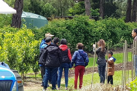 Dandenong Ranges And Rayners Orchard Tour From Melbourne - Tourism Noosa 4