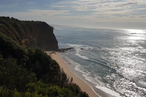 Full-Day Great Ocean Road Tour From Melbourne - Tourism Noosa 0