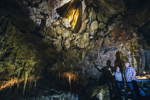 Ngilgi Cave Semi-guided Tour - Tourism Noosa 0