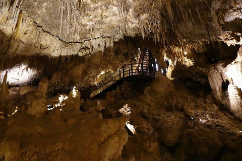 Ngilgi Cave Semi-guided Tour - Tourism Noosa 2