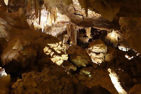 Ngilgi Cave Semi-guided Tour - Tourism Noosa 3