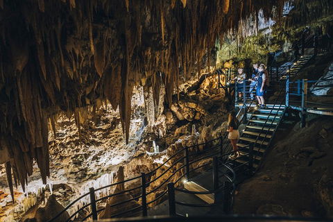 Ngilgi Cave Semi-guided Tour - Tourism Noosa 5