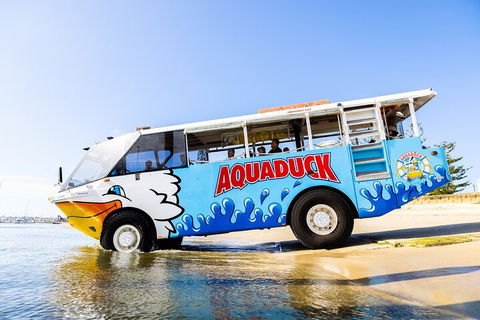 Aquaduck & Your Choice Of Gold Coast Rainforest Tour - Tourism Noosa 3