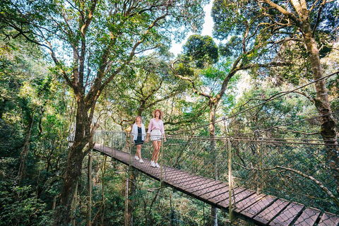 Aquaduck & Your Choice Of Gold Coast Rainforest Tour - Tourism Noosa 4