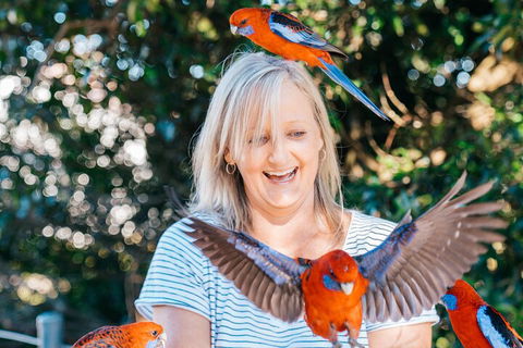 Aquaduck & Your Choice Of Gold Coast Rainforest Tour - Tourism Noosa 5