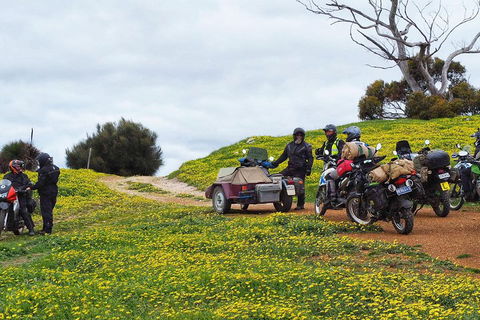 3 Days Flerieu Peninsula And Kangaroo Island Motorcycle Tour - Tourism Noosa 2