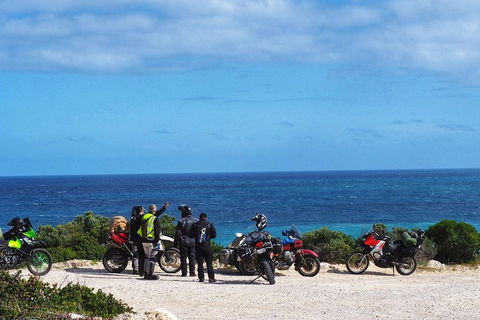 3 Days Flerieu Peninsula And Kangaroo Island Motorcycle Tour - Tourism Noosa 3
