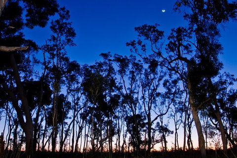 Small-Group Kangaroo Island 4WD Night Tour - Tourism Noosa 2