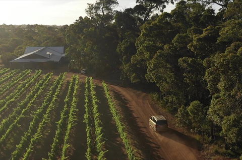 The All About Margaret River Tour: Wine, Coffee, Lunch And Forest - Tourism Noosa 1