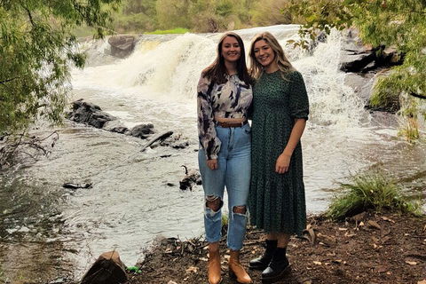The All About Margaret River Tour: Wine, Coffee, Lunch And Forest - Tourism Noosa 2
