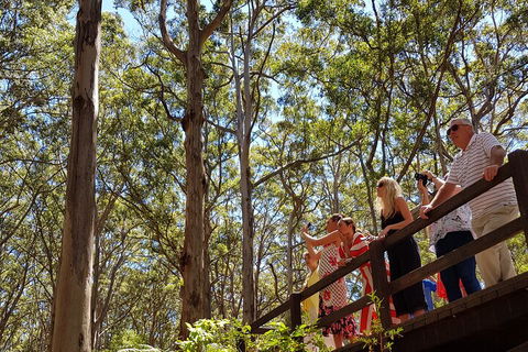 The All About Margaret River Tour: Wine, Coffee, Lunch And Forest - Tourism Noosa 3